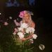 Sandra Strode - Facebook