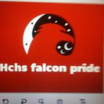 Sandra  Stroud - @hchs_falcons_for_life - Instagram