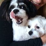 Sandra Stroud - @sandrastroud14 - Instagram