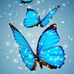 Sandra Stroud - Facebook