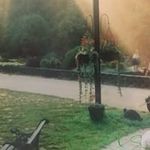 Sandra Stroud - @sst7286426 - Instagram