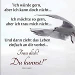 Sandra Struckmeier - @sandrastruckmeier - Instagram