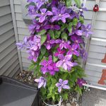 Sandra Suhr - @sandra.suhr.7528 - Instagram