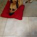 Sandra Sullens - Facebook