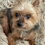 Sandy Sullens Alexander - @sandythenurse - Instagram