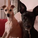 Sandra Swann - @sandra.swann.7545 - Instagram