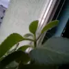 lt's me - @sandraswider - TikTok