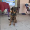 Sandra Narojczyk - @sandraswiderska0 - TikTok