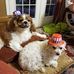 Sandra Swindle - Facebook