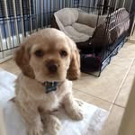 Sandra Swindle - @swinwife - Instagram