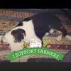 Sandra Mac Taggart - @sandra.mac.taggart - TikTok