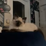 Sandra McTaggart - @sandramctaggart - Instagram