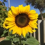 Sandy Taggart - Facebook
