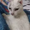 Sandra Taiman - @sandra.taiman - TikTok