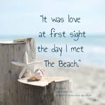 Sandra Tatman - Facebook