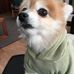 Sandy Taubinger - Facebook