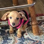 Sandra Taylor - Facebook