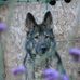 Sandra Teague - Facebook