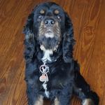 Sandra Teague - @teague0128 - Instagram