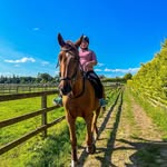 Sandra Teall - @sandrateall - Instagram