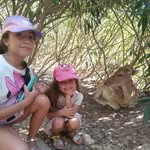 Sandra Cano Tebar - @sandrilla2693 - Instagram