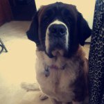 Sandy Teeter - @sandy_teeter - Instagram