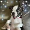 sandratafoyateets - @sandratafoyateets - TikTok