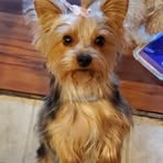 Sandy Teets - Facebook