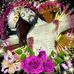 Sandra Tejeda - Facebook