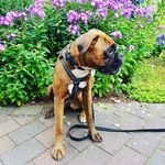 Sandra Templin - @templin.sandra - Instagram