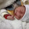 Sandra Tene330 - @sandratene1 - TikTok