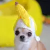Sandra Teniente - @sandra.teniente - TikTok