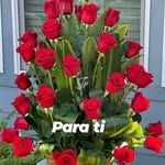 Sandra Termini - @termini727 - Instagram