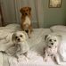 Sandy Terwilliger - Facebook