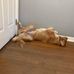 Sandy Terwilliger - Facebook