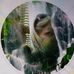 Sandra Teske - Facebook