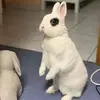 Sandra Teske - @sandra.teske - TikTok