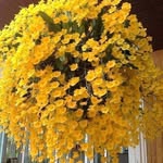 Sandra Teske Barbosa - @sandra_teske7 - Instagram