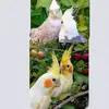 L P T C 🦜🦜🦜🦜♥️♥️♥️♥️ - @sandratexeira09 - TikTok