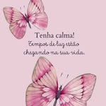 Sandra Texeira - @s_texeira - Instagram