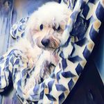 Sandra Texidor - @sandytechgal - Instagram