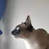 sandratey8 - @sandratey8 - TikTok