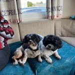 Sandra Thacker - @cagzythacker1959 - Instagram