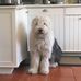 Sandra Thacker - Facebook