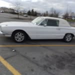 Sandra tharp - @tharp7784 - Instagram