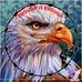 Sandra Tharpe - Facebook
