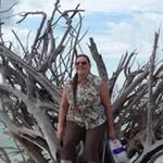 sandra thayer - @sandrathayer - Instagram