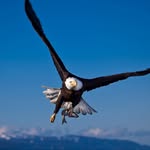 Sandra Thayer - @thayer5928 - Instagram