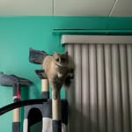 Sandra Thelen - @frogthelen - Instagram