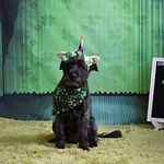 Sandra Therrien-Henault - @shenault2 - Instagram